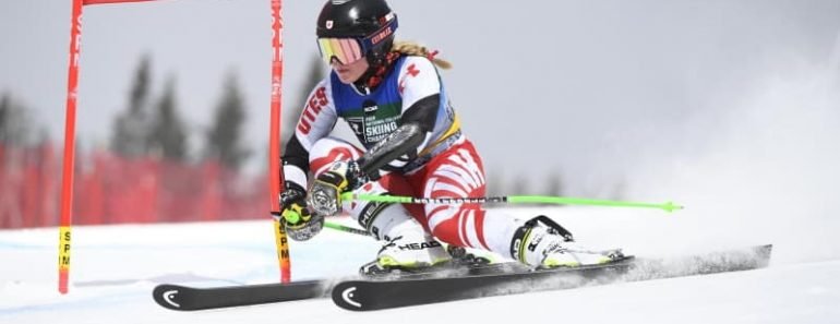 Best Ski Forearm Guards