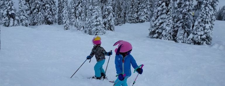 Ski Poles for Kids